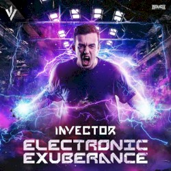 Electronic Exuberance