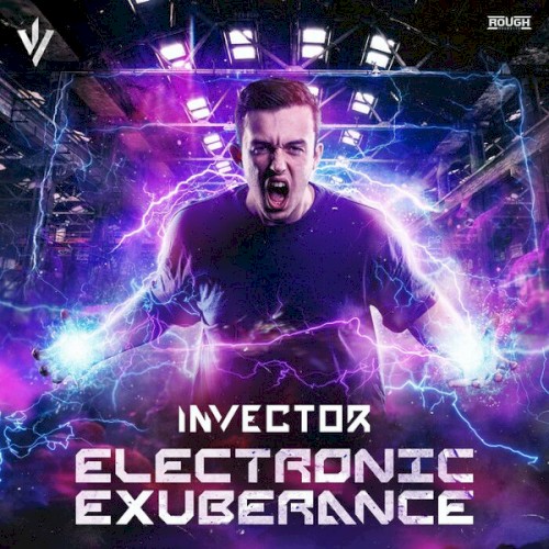 Electronic Exuberance