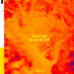 Digital Disaster