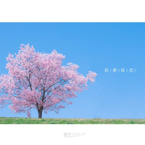 君と夢と桜と恋と