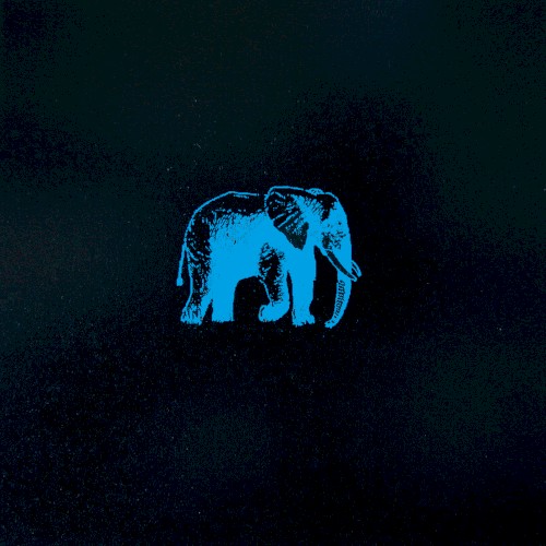 An Elephant Never Forgets