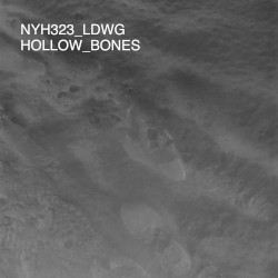 Hollow Bones
