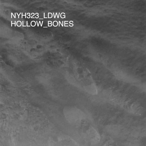 Hollow Bones