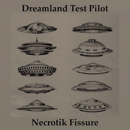 Dreamland Test Pilot / Necrotik Fissure
