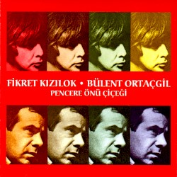 Pencere Önü Çiçeği