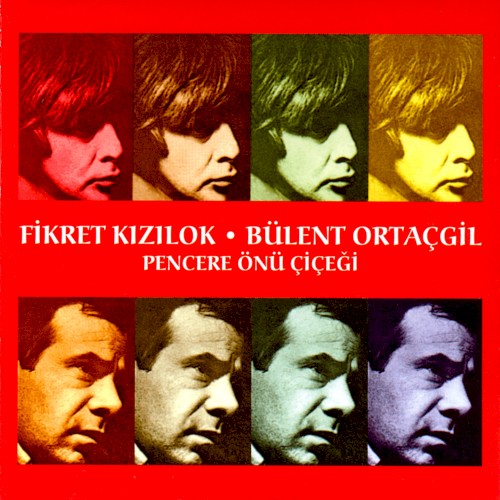 Pencere Önü Çiçeği