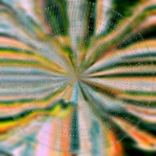 High & Low