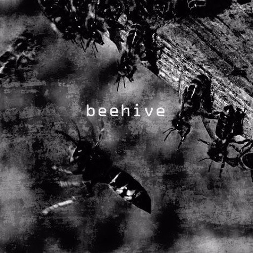 Beehive