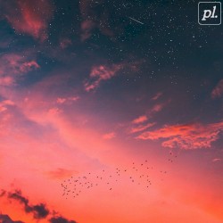 Voyage