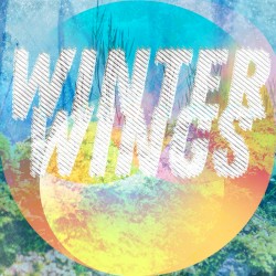 Winter Wings