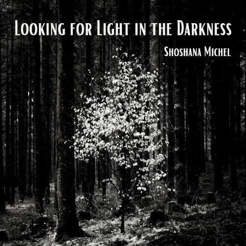 Looking for Light in the Darkness
