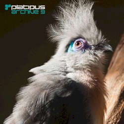 Platipus Archive 9