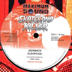 Skateland Killer