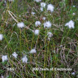 200 Years of Electricals
