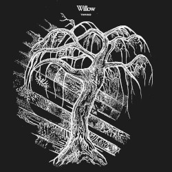 Willow