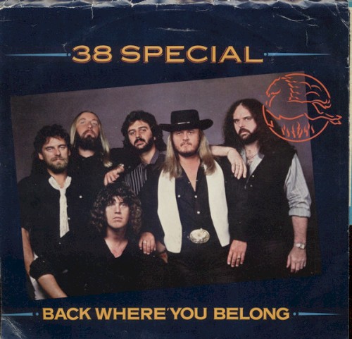 Back Where You Belong