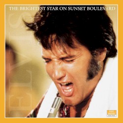 The Brightest Star on Sunset Boulevard, 1