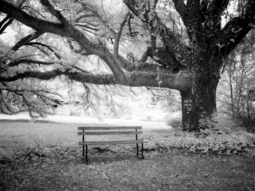 A Place to Rest