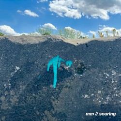 Soaring