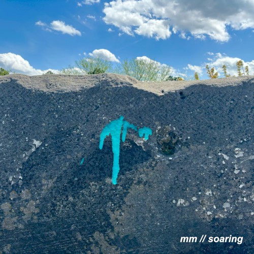 Soaring