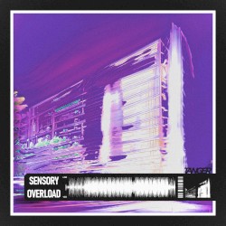 Sensory Overload