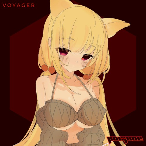 Voyager