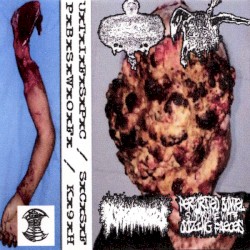 Urinary Tract Infection From Severe Pus Clots / Schizophrenic Cannibalistic Sex Fest / K9 Hemorrhoids / Perforated Bowel Syndrome With Oozing Faeces