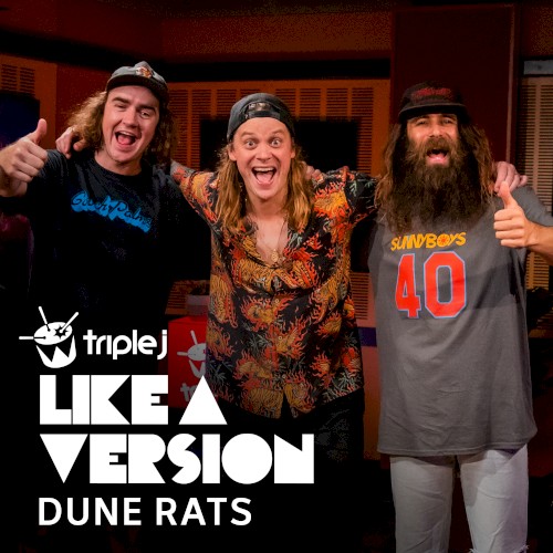 Am I Ever Gonna See Your Face Again (triple j Like A Version)