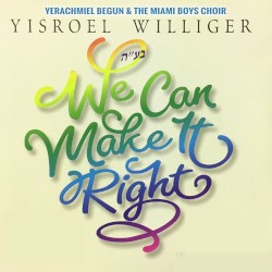We Can Make It Right