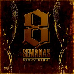 8 semanas