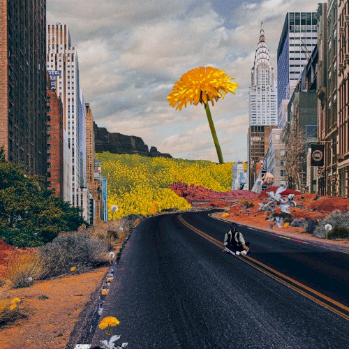 Street Flowers