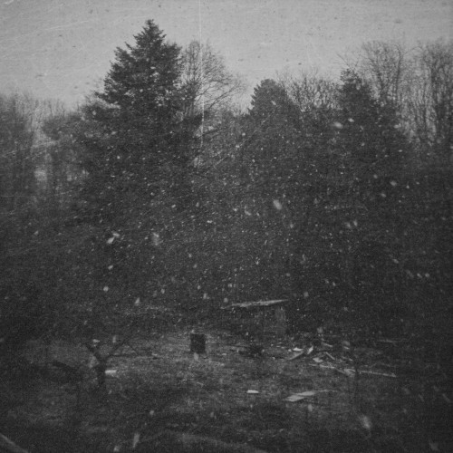 Harbingers