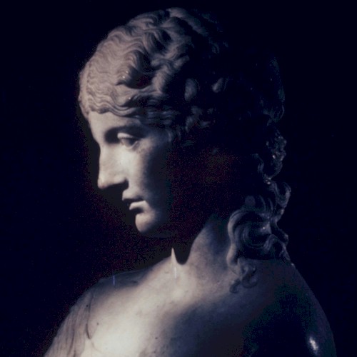 [untitled]