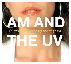 Silently The Birds Fly Through Us