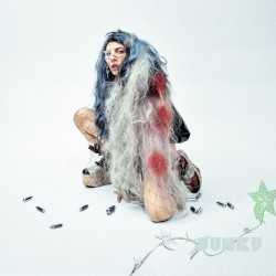 JUNKY