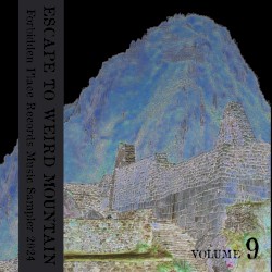 Escape to Weird Mountain, Volume 9