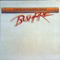Bushfire