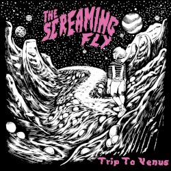 Trip to Venus