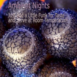 Ambient Nights - Just Add a Little Funk for Taste and Serve at Room Temperature