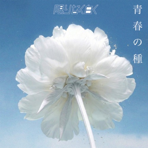 青春の種