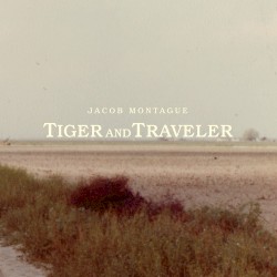 Tiger and Traveler