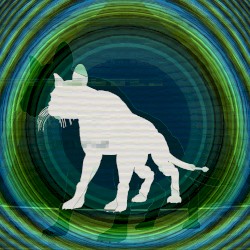 Ailurophobia