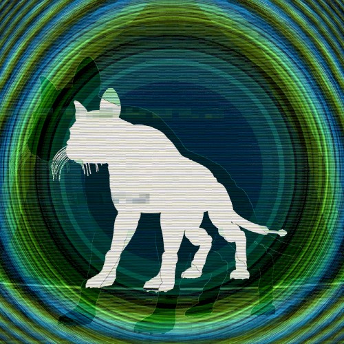Ailurophobia
