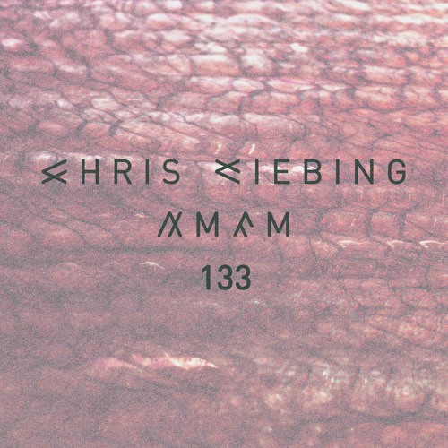 AM/FM 133