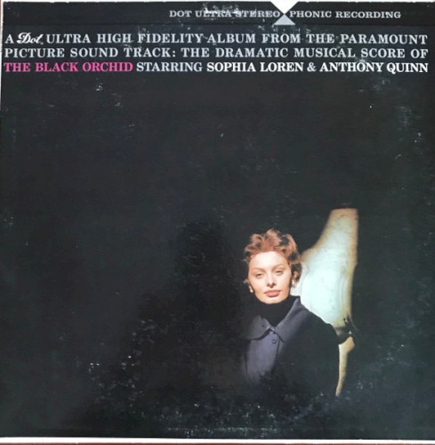 The Black Orchid