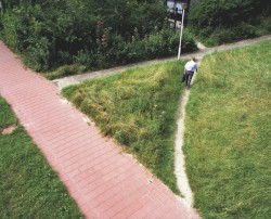 Caminitos del deseo
