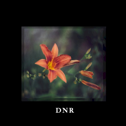 Do Not Resuscitate (Lonely Version)