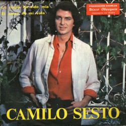 La culpa ha sido mía / El amor de mi vida