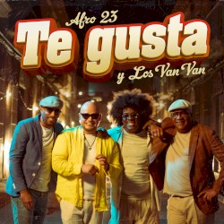 Te gusta