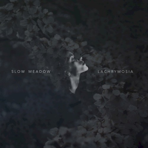 Lachrymosia / Some Familiar...